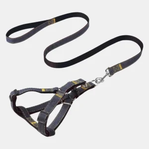 Arnés Jean con Correa para Perros
